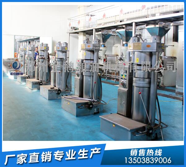 核桃油設(shè)備多少錢一套?企鵝糧油品質(zhì)爭勝(圖1) 核桃油設(shè)備