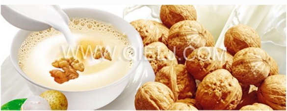 核桃油加工設(shè)備 核桃油成套榨油設(shè)備(圖8) 核桃油加工設(shè)備 核桃油成套榨油設(shè)備(圖8)