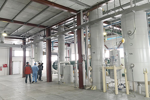 年關(guān)將至，鄭州企鵝喜迎埃塞俄比亞客戶(hù)！