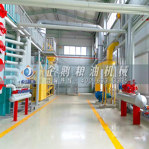 棉籽油加工成套設(shè)備,企鵝品牌名實相符(圖1) 棉籽油浸出設(shè)備